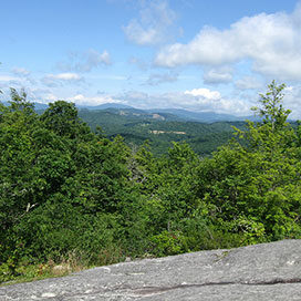 mountain scene of the Blue Ridge Mountains from Flat Top